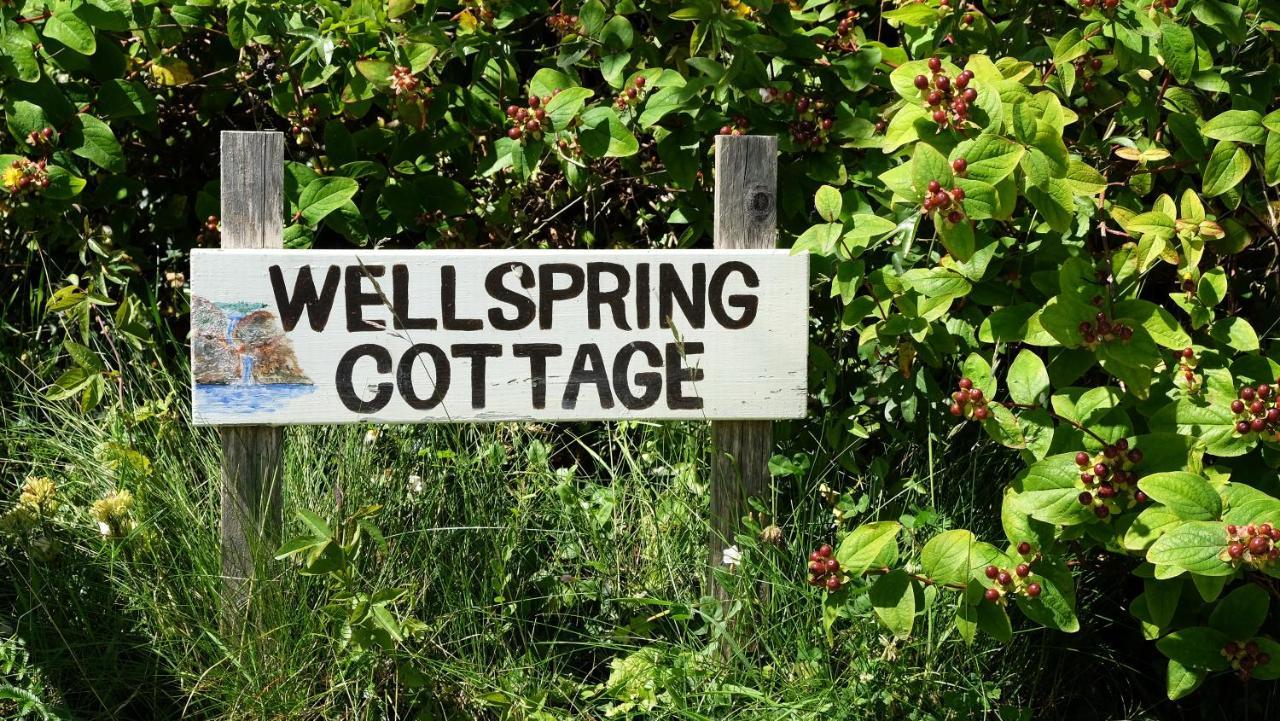 Wellspring Cottage Nr Kynance Cove Lizard Luaran gambar